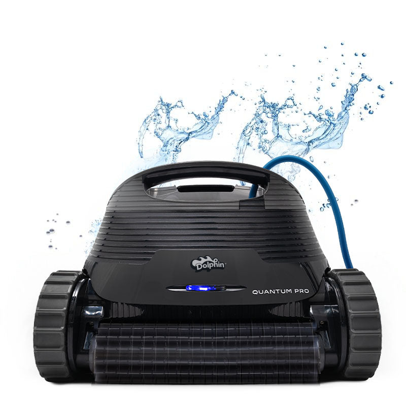 Dolphin Quantum (Open Box)